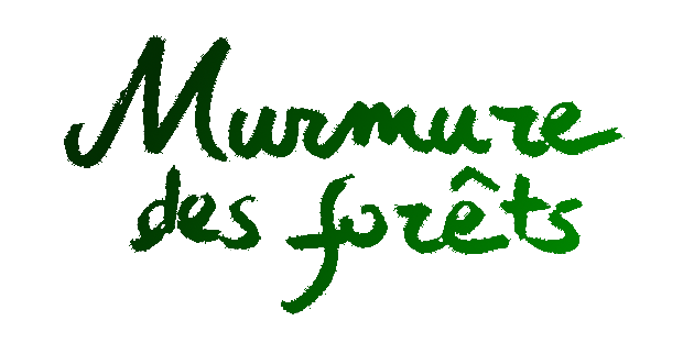 name murmure des forêts